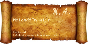 Molcsán Aliz névjegykártya